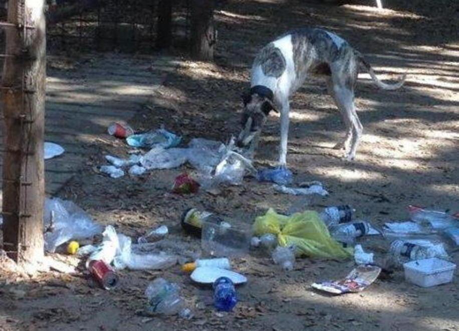 Cala Violina sfregiata dai rifiuti 