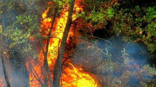 Falò di sterpi, paura tra i bagnanti