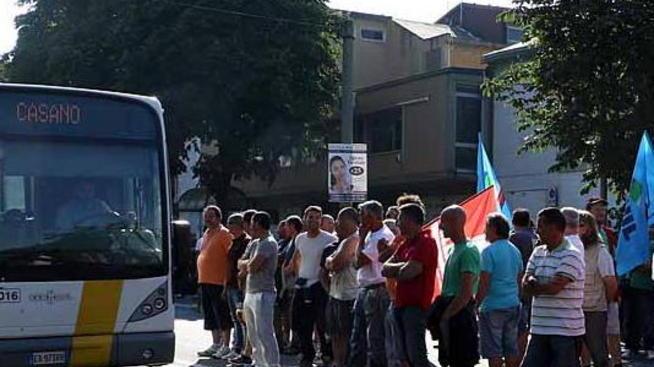 «Saremmo tutti dei signori se il marmo si lavorasse qui»