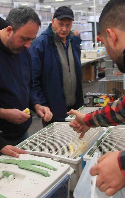 Fiere: Parma, Rimini e Bologna sono al top 