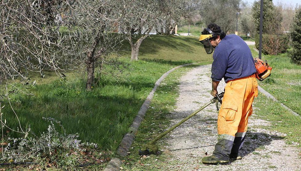 Stop ai rifiuti lungo le strade dopo lo sfalcio dell’erba 