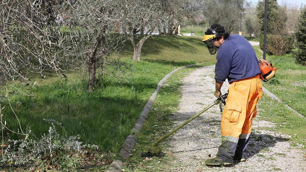 Stop ai rifiuti lungo le strade dopo lo sfalcio dell’erba
