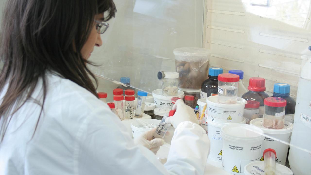 Un laboratorio dell'Istituto Zooprofilattico della Sardegna