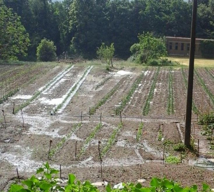 La grandine distrugge anche l’orto del convento 