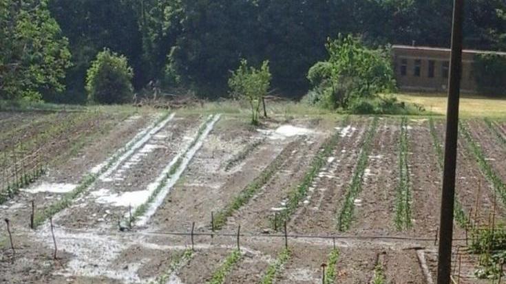 La grandine distrugge anche l’orto del convento