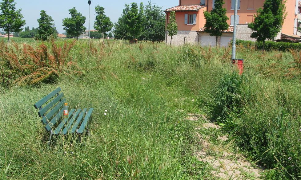 «Erba troppo alta, chi la taglierà?»