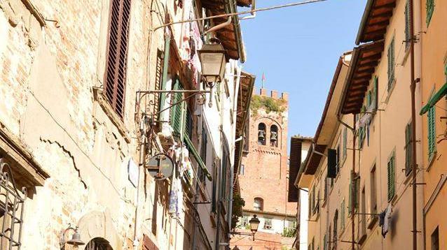 I quadri di fiori danneggiati nel centro