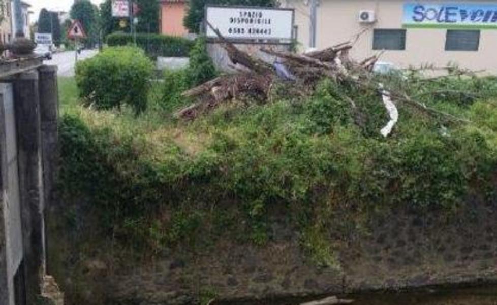 Plastica e spazzatura gettati nel rio Casale
