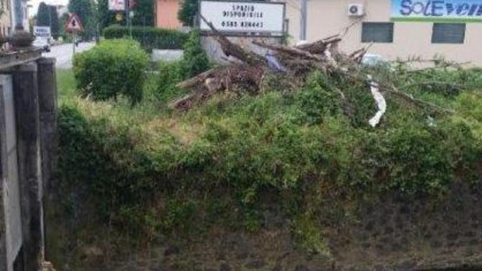 Plastica e spazzatura gettati nel rio Casale