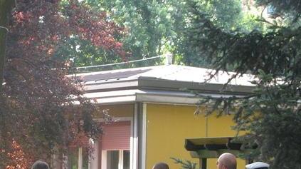Maxi nido di vespe all’asilo: i vigili transennano il parco