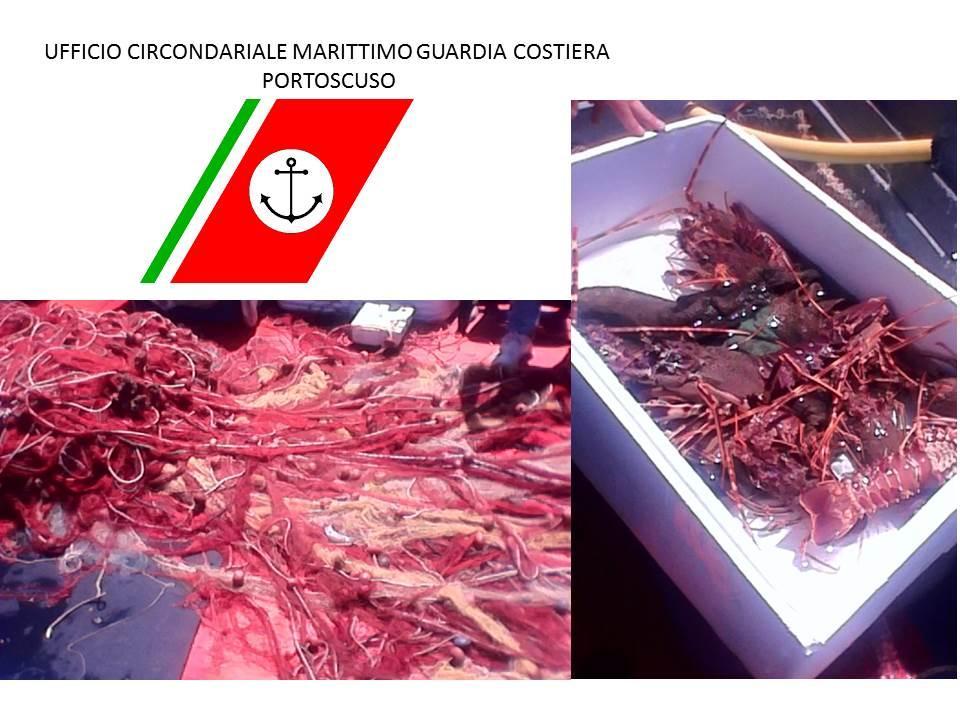 Reti e aragoste sequestrate a Buggerru