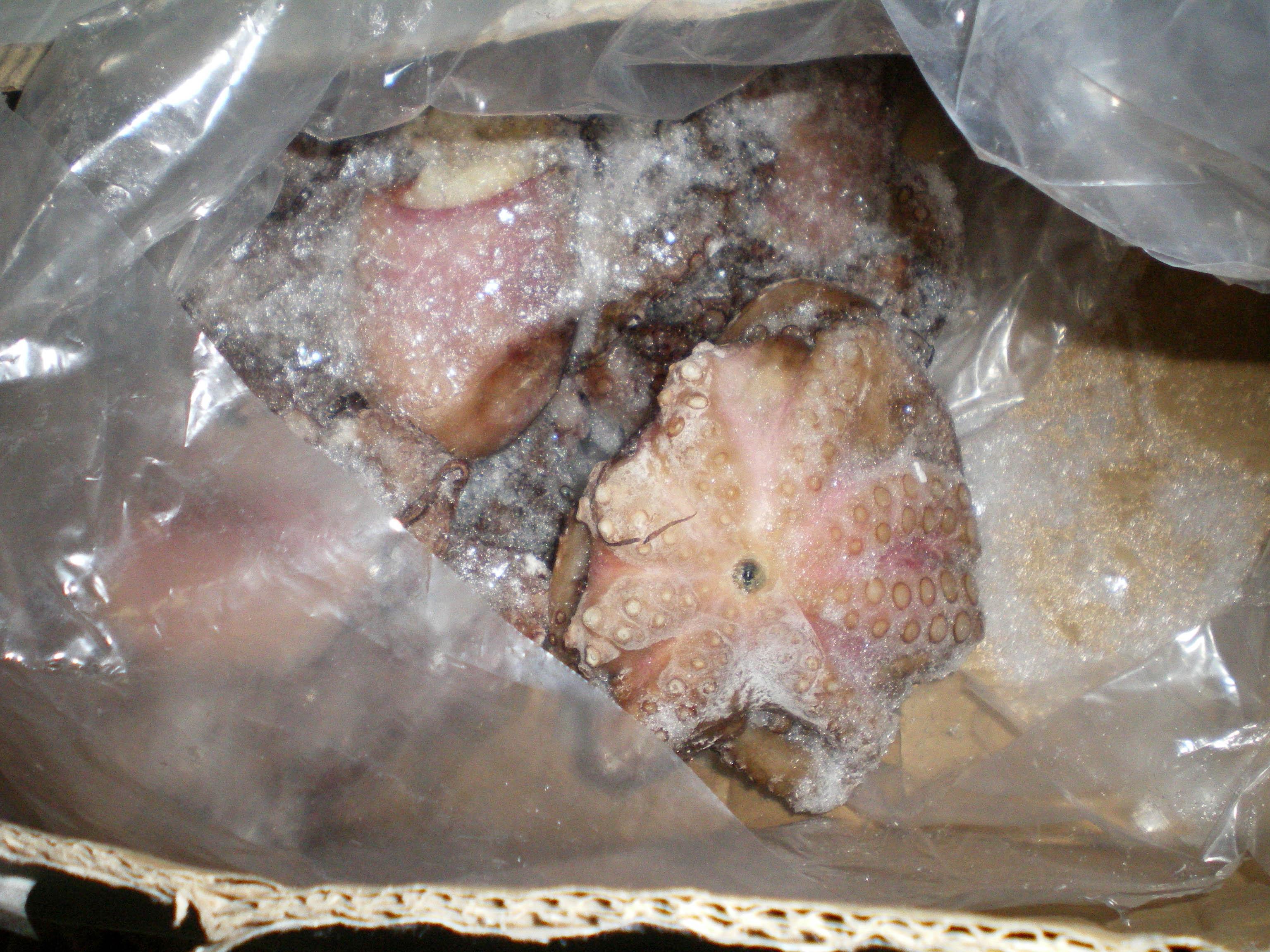 Crostacei e prodotti ittici sequestrati