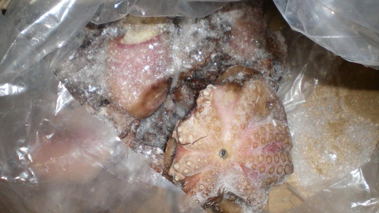 Crostacei e prodotti ittici sequestrati