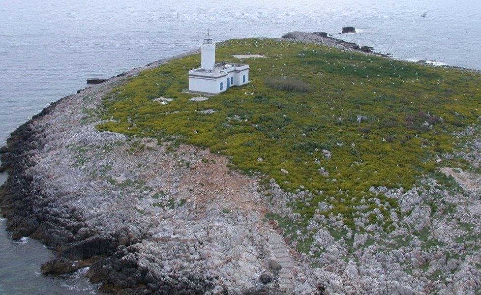 La Formica grande e il suo faro