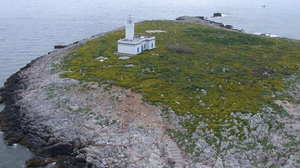 La Formica grande e il suo faro