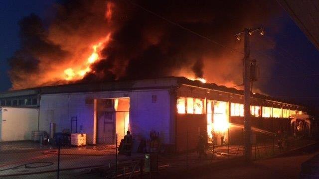 La fabbrica distrutta (foto Nucci)
