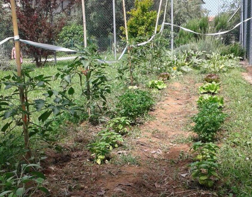 A Seravezza i bambini della materna coltivano l’orto