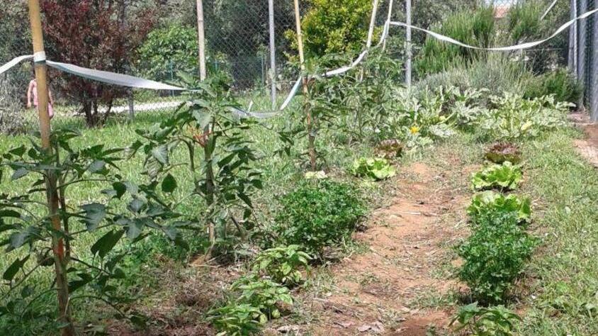 A Seravezza i bambini della materna coltivano l’orto