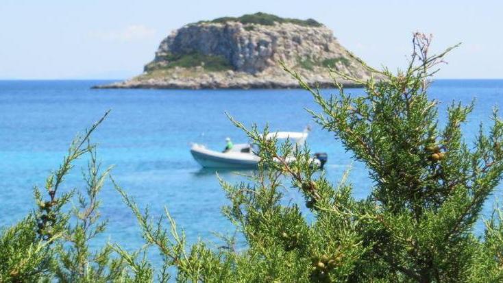 Allarme pesca di frodo nel mare di Pianosa