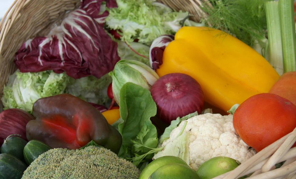 Sport e alimentazione, la parola ai medici