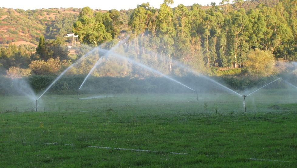 Un mese a secco, agricoltori in ginocchio 