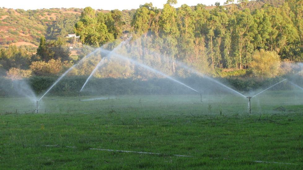 Un mese a secco, agricoltori in ginocchio