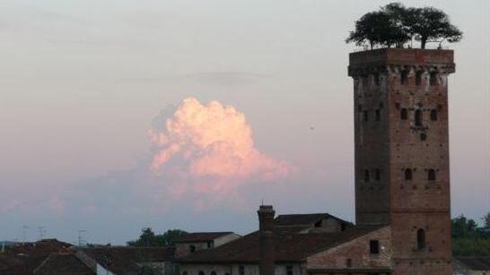 Si fa manutenzione nella Torre Guinigi