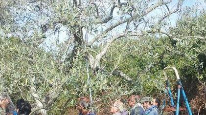 Olmedo, arriva la prova del rally