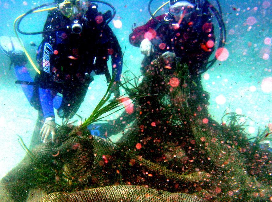 Un mare senza barriere tra sport e accessibilità 