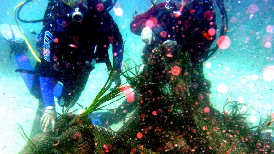 Un mare senza barriere tra sport e accessibilità