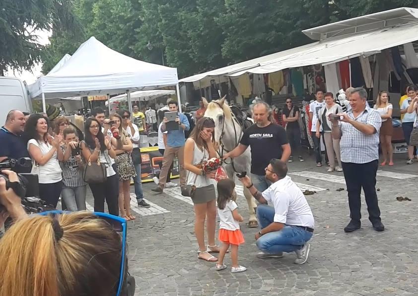 Sul cavallo bianco in fiera per la proposta di matrimonio