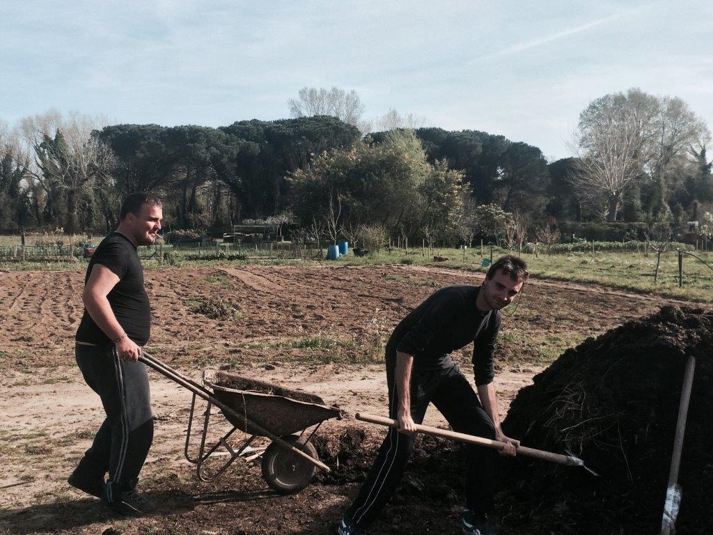 Ortaggi e verdure coltivati con l’aiuto di ex pazienti psichiatrici 