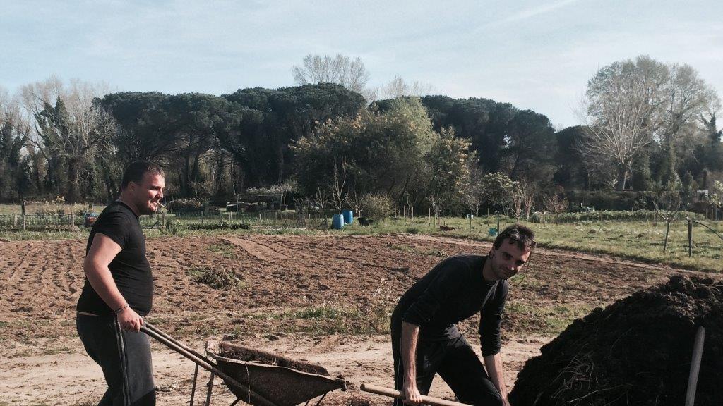 Ortaggi e verdure coltivati con l’aiuto di ex pazienti psichiatrici