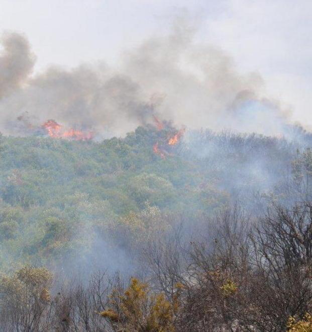 Fiamme a Castiglione Il ritorno del piromane 