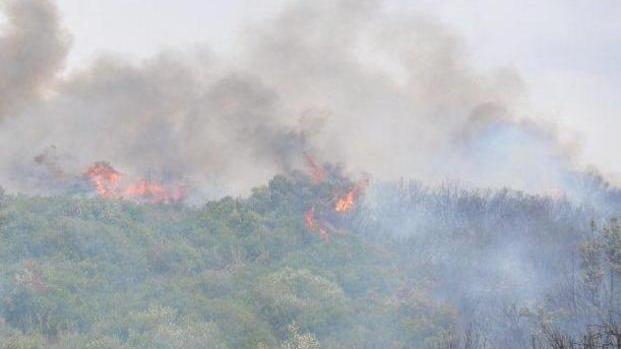 Fiamme a Castiglione Il ritorno del piromane