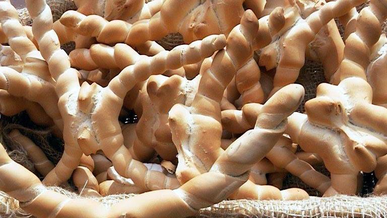 La coppia ferrarese