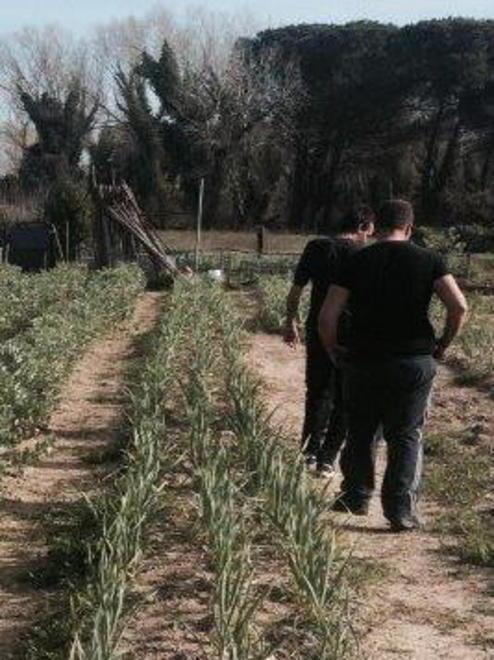 Ortaggi e verdure coltivati con l’aiuto di ex pazienti 