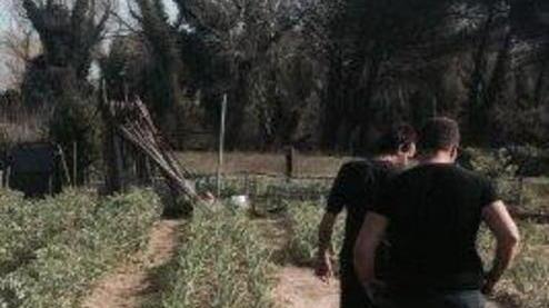 Ortaggi e verdure coltivati con l’aiuto di ex pazienti