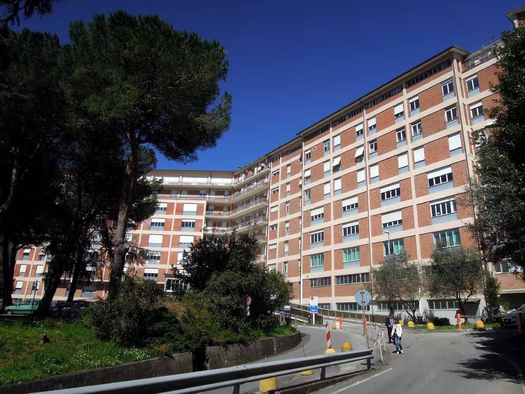 L'ospedale di Massa dove è ricoverata la ragazza