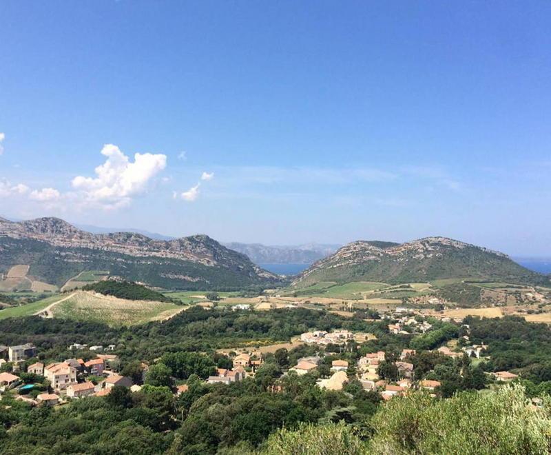 Vermentino Colli di Luni sbarca in Corsica 