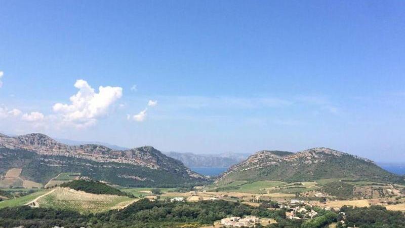 Vermentino Colli di Luni sbarca in Corsica