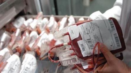 «Il centro trasfusionale non si sposti a Bologna»
