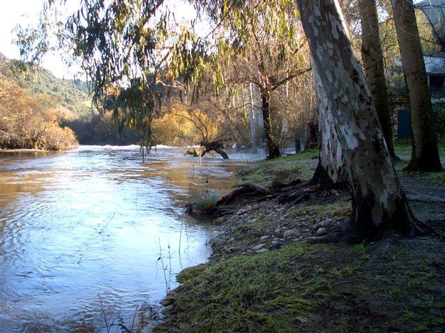 L'acqua di Su Gologone