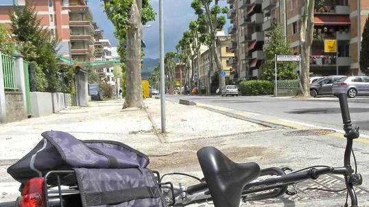Cade dalla bici sulla pista ciclabile, grave