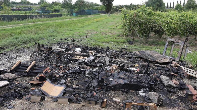 Distrutto dal fuoco ricovero di gatti