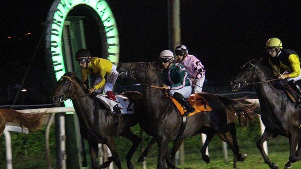 Coppa del Mare e Palio per la rinascita del Caprilli