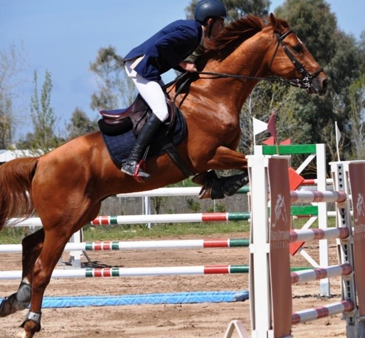 Salto a ostacoli, a Chilivani attesa per la tre giorni 