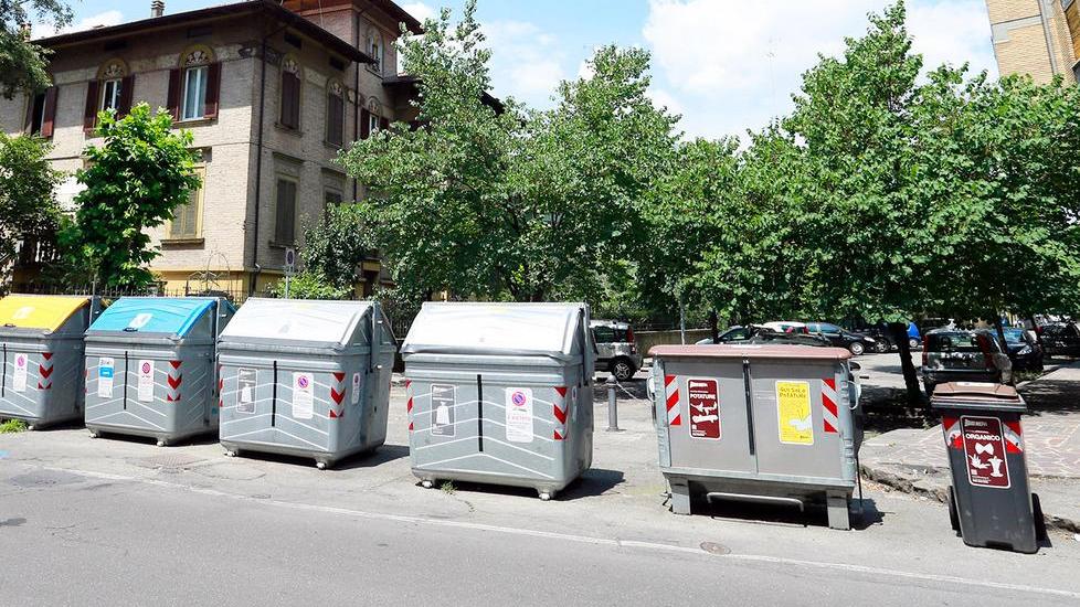 Viale Sigonio, ci sono i topi tra i cassonetti
