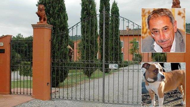 La villa, il medico Enrico Castellacci e un esemplare del cane ucciso