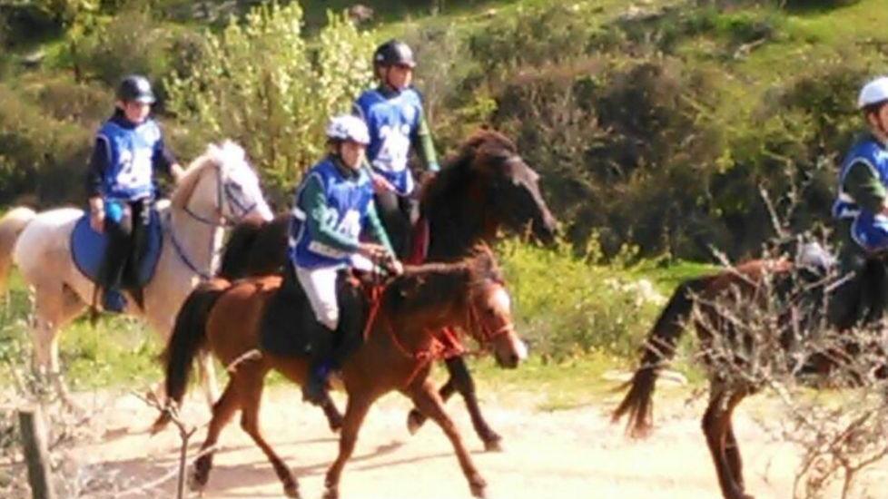 Domenica nella pineta di Pattada quarta tappa del regionale pony